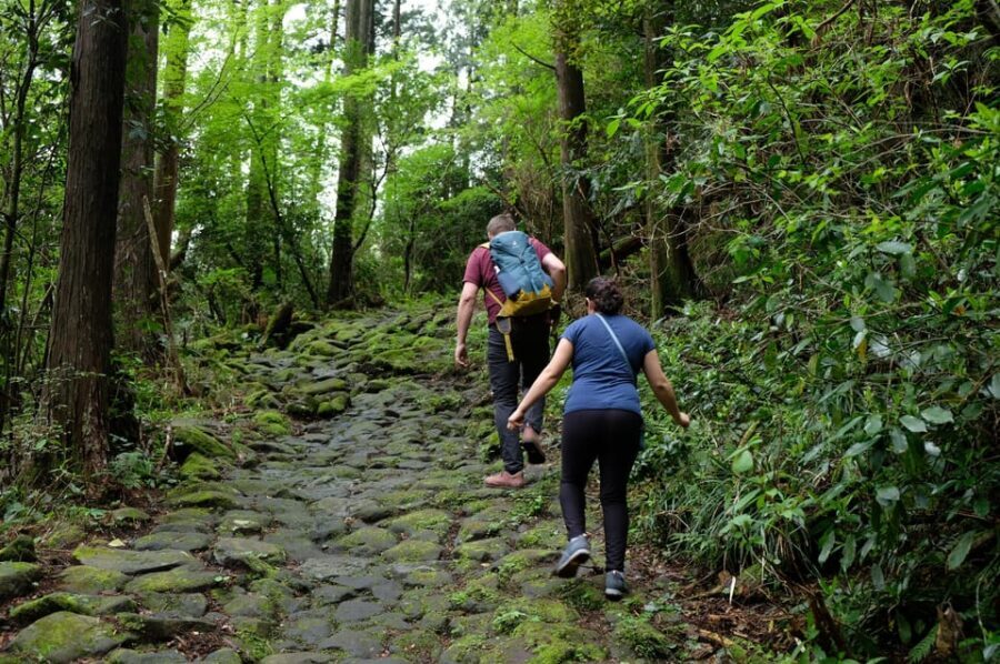 Hakone Hachiri: Old Tokaido Highway Hiking Half-day tour - Starting at Hakone-Yumoto: the warm-up before the old road