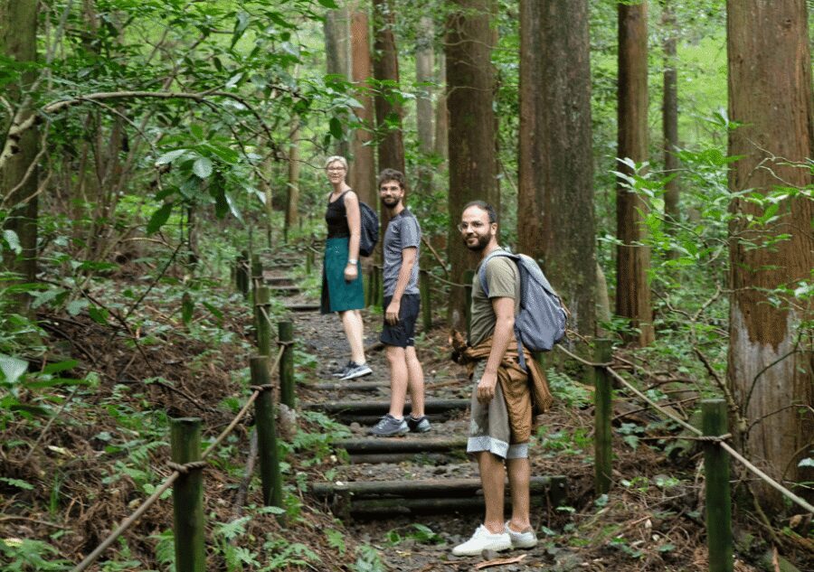 Hakone Hachiri: Old Tokaido Highway Hiking Tour - Key highlights to look for