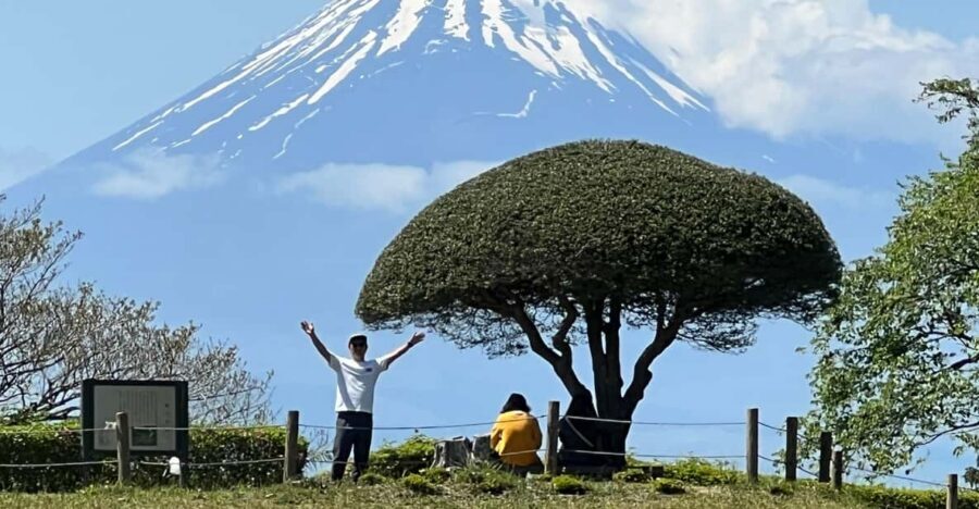 Hakone Hachiri: Old Tokaido Highway Hiking Tour - Amasake Tea House: the warm stop that makes the history feel human