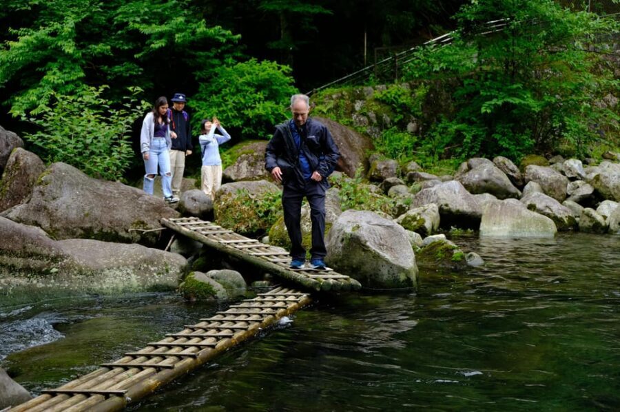 Hakone Hachiri: Old Tokaido Highway Hiking Tour - Mishima Taisha and the Genbe River: a calm finish after the climb energy