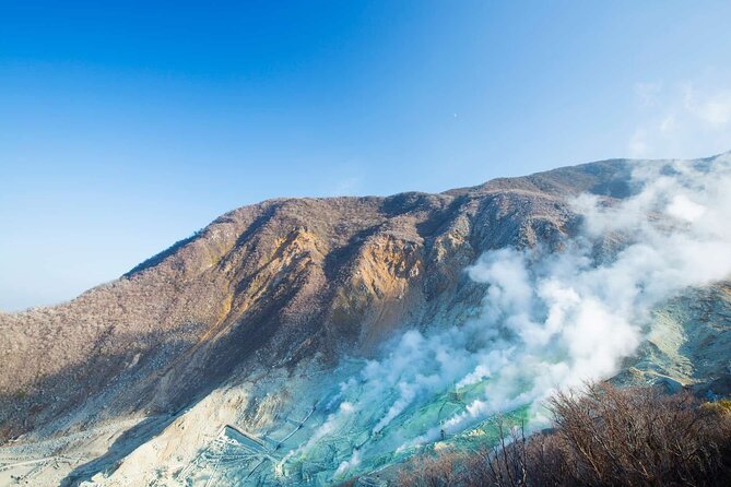Hakone Private Customized Day Tour - How the Day Starts: Door-to-Door Comfort from Tokyo