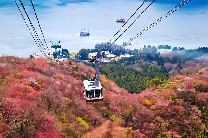 Hakone Private Customized Day Tour - Togendai: The Lake Ashi Break for Shops, Snacks, and Views