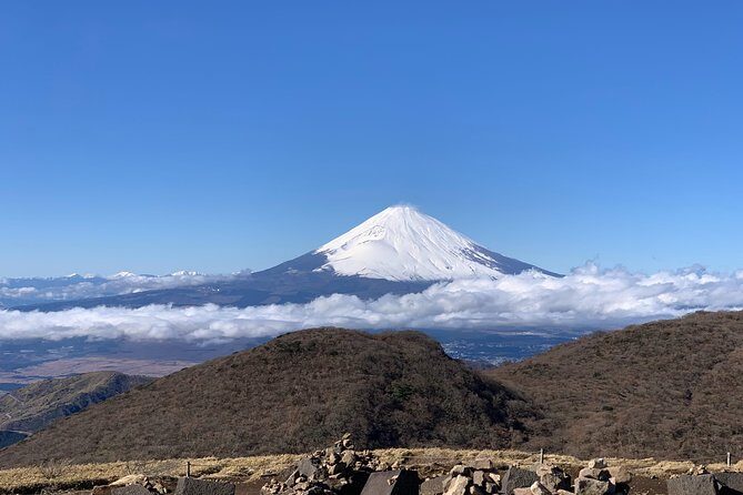 Hakone Private One Day Tour From Tokyo: Mt Fuji, Lake Ashi, Hakone National Park - The 7:30 Shinjuku start: what it buys you in Hakone