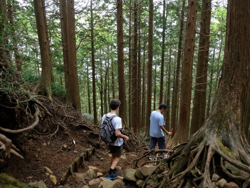 Hakone: Traverse the Hakone Caldera and Enjoy Onsen - Price and value: what you’re actually paying for