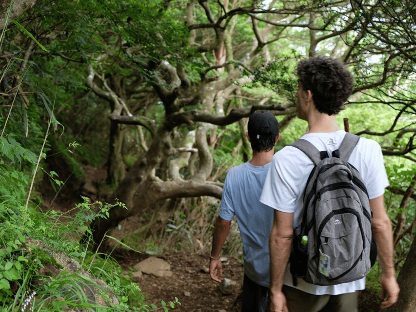Hakone: Traverse the Hakone Caldera and Enjoy Onsen - What you’ll see along the volcanic caldera rim