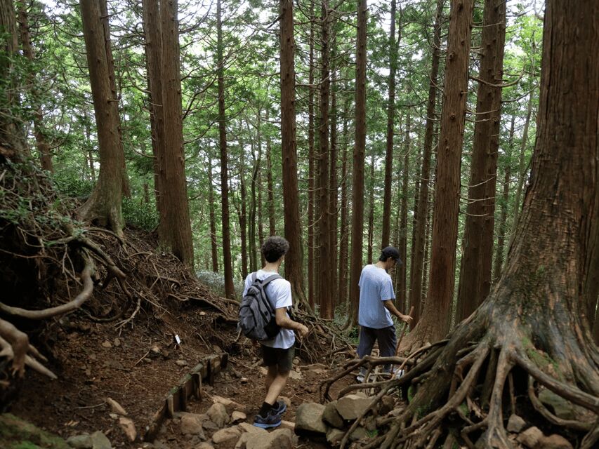 Hakone: Traverse the Hakone Caldera and Enjoy Onsen - Lunch and the hiking pace: fuel without dragging the day