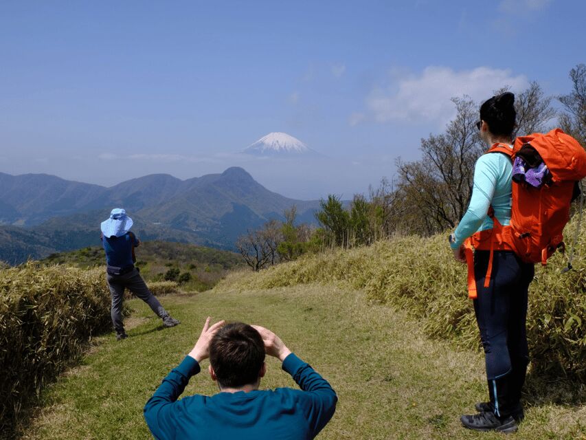 Hakone: Traverse the Hakone Caldera and Enjoy Onsen - The onsen payoff: soaking like locals