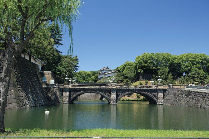 Half-day Tokyo Morning Tour by Hato Bus - Pacing, sound, and how the morning can feel