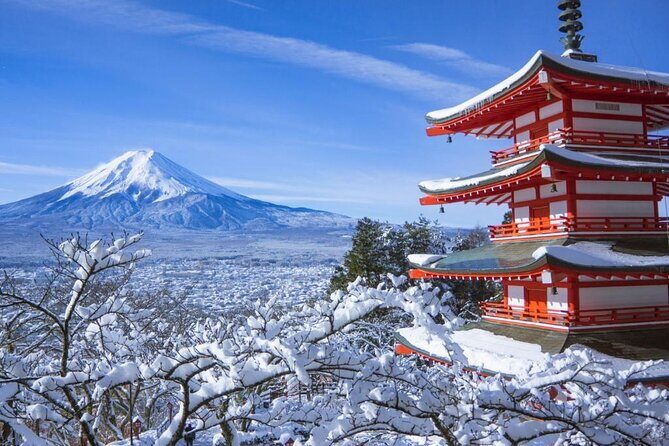 Haneda Airport: One Way Private Transfer to Tokyo|Yokohama Hotels - Meeting the driver at Haneda: the real logistics