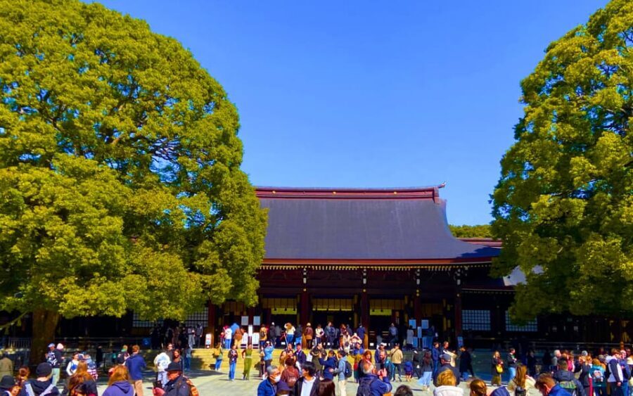Harajuku : Blend of Tradition & Pop Culture for Family Tour - Meiji Shrine: 1 Quiet Hour of Worship and Context