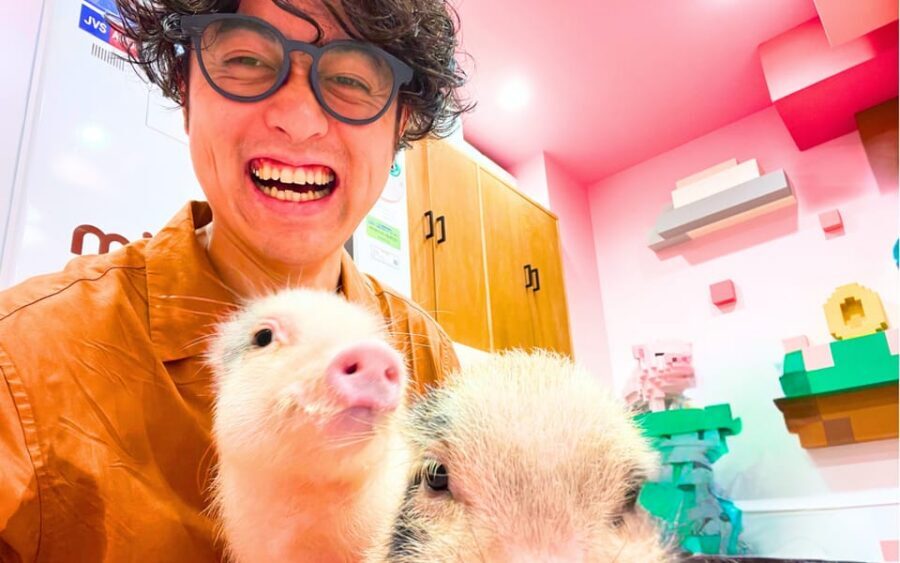 Harajuku : Blend of Tradition & Pop Culture for Family Tour - mipig Cafe in Harajuku: Micro Pigs, Cozy Photos, Real Smiles