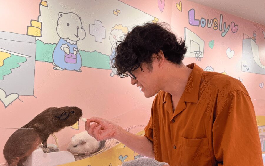 Harajuku : Blend of Tradition & Pop Culture for Family Tour - Your Guide: Shingo Travel’s Friendly, Q&A Style