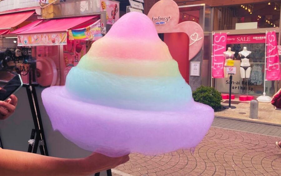 Harajuku : Blend of Tradition & Pop Culture for Family Tour - Who Should Book This Harajuku and Meiji Tour