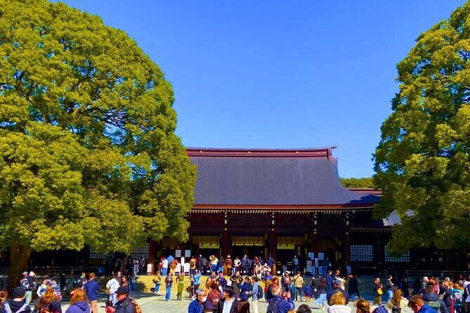 Harajuku Highlights: Where Tradition Meets Tokyo Pop - Enter Meiji Jingu: torii gates to forest calm