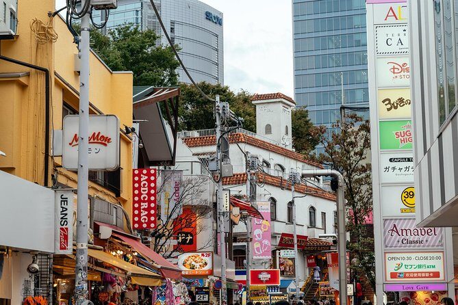 Highlights & Hidden Gems of the Shibuya District Private Tour - Guides Make or Break This Experience: Examples of What Works