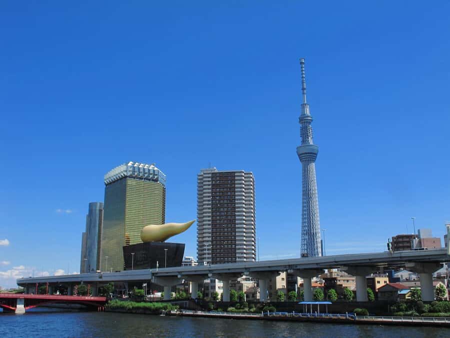 Highlights of Tokyo Private Tour with a Licensed Guide - What’s included in the price, and what you should budget for