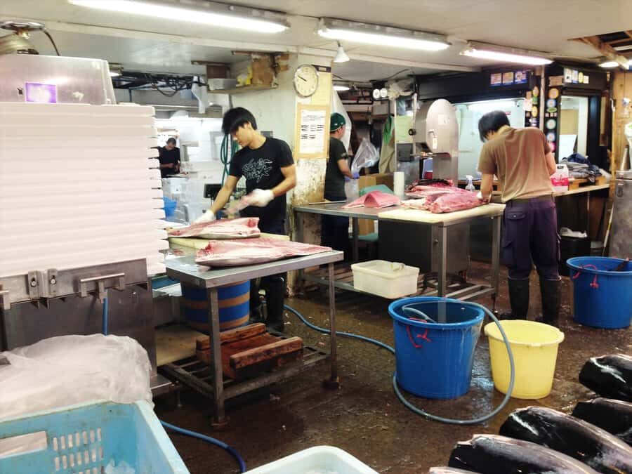 Highlights of Tokyo Private Tour with a Licensed Guide - Tsukiji Outer Market: seafood food-stop momentum (and snack strategy)