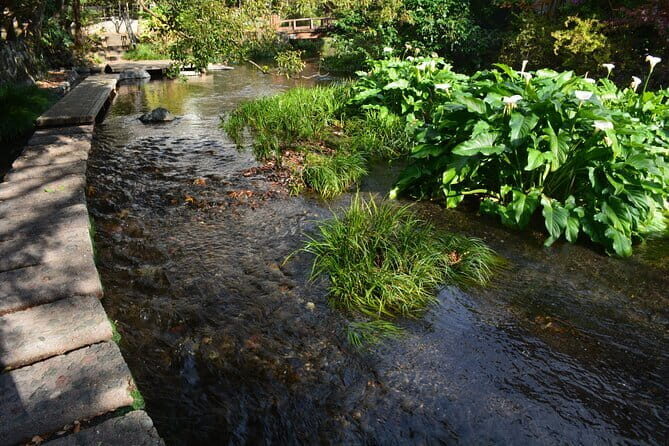 Hike Hakone Hachiri - Yamanaka Castle Ruins: a mountain boundary with Mt. Fuji potential