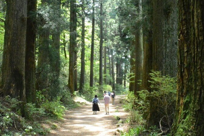 Hike Hakone Hachiri - Start at Mishima Station at 8:30: plan for a full walking day