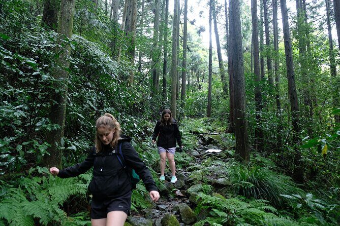 Hike Japan Heritage Hakone Hachiri (Half Day) - Key highlights you’ll care about