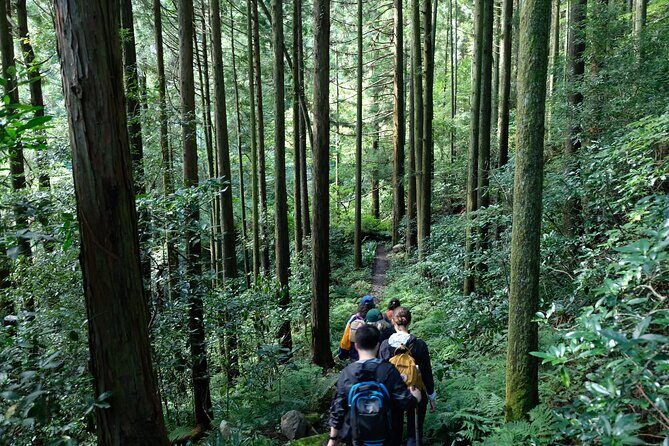 Hike Japan Heritage Hakone Hachiri (Half Day) - Stop 2: A 400-year teahouse amasake break