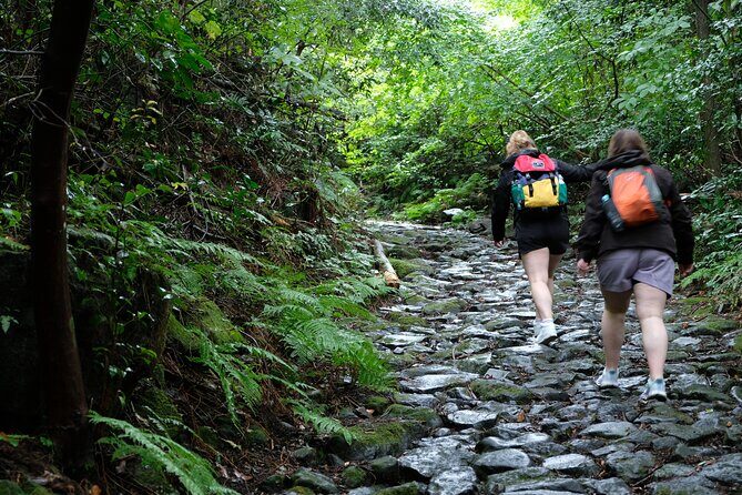 Hike Japan Heritage Hakone Hachiri (Half Day) - Stop 3: The Hakone checkpoint—why this place mattered