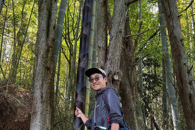 Hike Japan Heritage Hakone Hachiri with certified mountain guide - Stop 1: Hakone Amazake Tea House and the cobbled-craft start