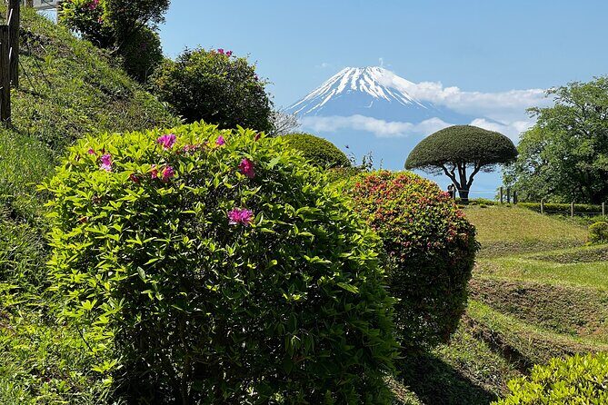 Hike Japan Heritage Hakone Hachiri with certified mountain guide - Stop 4: Yamanaka Castle Ruins and another Mt Fuji check