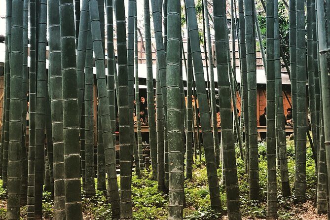 Historic Kamakura: Temples, Shrines and Street Food Private Walking Tour - Hokoku-ji’s Bamboo Grove: Cooling Off with Green Tea