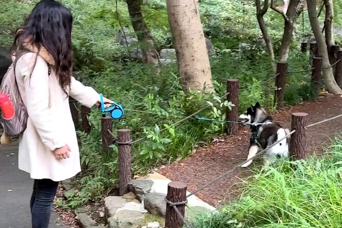 Home Cooking with a Local Host (Optional Shiba Inu Picnic) - Who This Tour Suits Best (and Who Might Skip It)