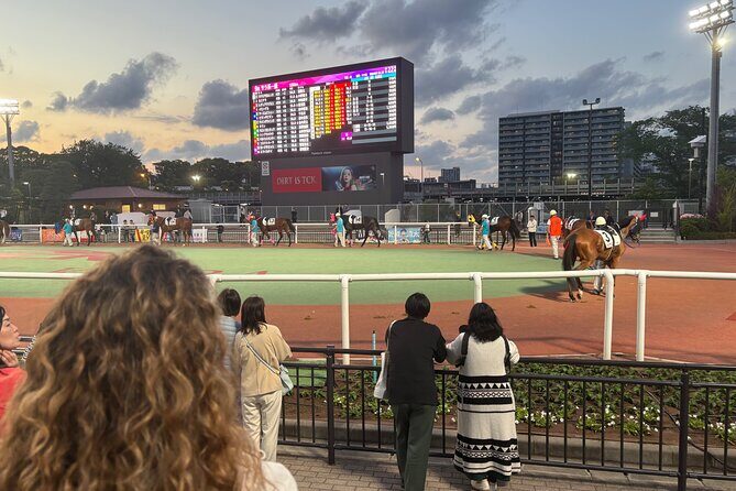 Horse Racing Tour with Local Fans in Tokyo, Oi Racecourse - Key highlights before you go
