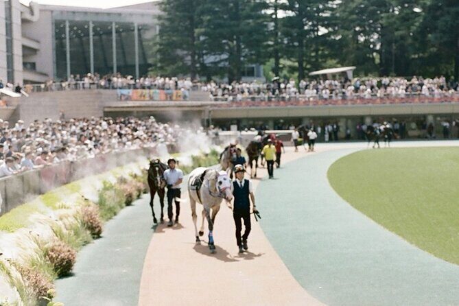 Horse Racing Tour with Local Fans in Tokyo, Oi Racecourse - Food and drinks: where the evening’s comfort fits in