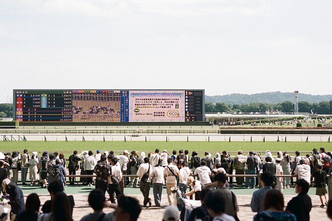 Horse Racing Tour with Local Fans in Tokyo Racecourse - Tokyo Racecourse With a Local-Fan Focus
