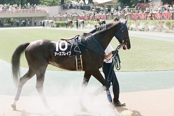 Horse Racing Tour with Local Fans in Tokyo Racecourse - How the Guide Helps You Place Bets (and Why Yen Matters)