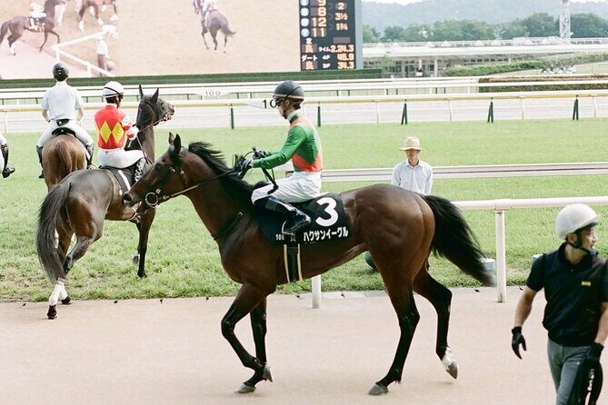 Horse Racing Tour with Local Fans in Tokyo Racecourse - Food and Drinks: Plan Your Budget Carefully