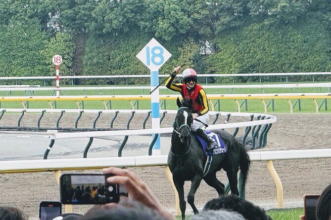 Horse Racing Tour with Local Fans in Tokyo Racecourse - Meeting at Shibu Hach Box2 and the Train Ride Flow