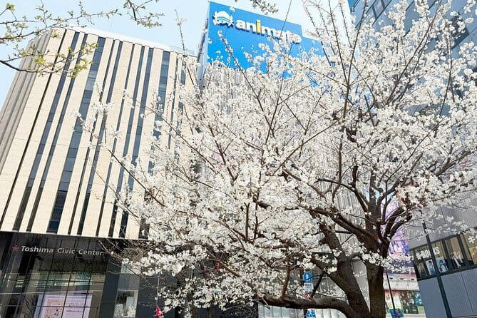 Ikebukuro Anime and Game Culture Experience Tour - Price and What You Actually Get for $84.70
