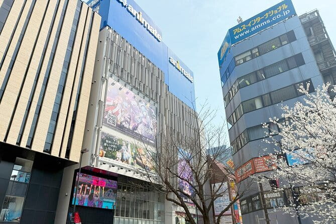 Ikebukuro Anime and Game Culture Experience Tour - Meet at Toshima Kuritsu Ikebukuro Ekimae Park: How the Timing Works