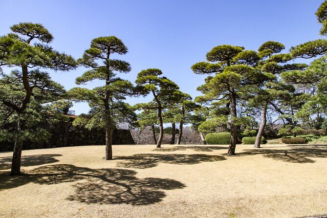 Imperial Palace to Tokyo Station Historical Walking Tour - Bairinzaka (Plum Tree Hill): views and seasonal scent