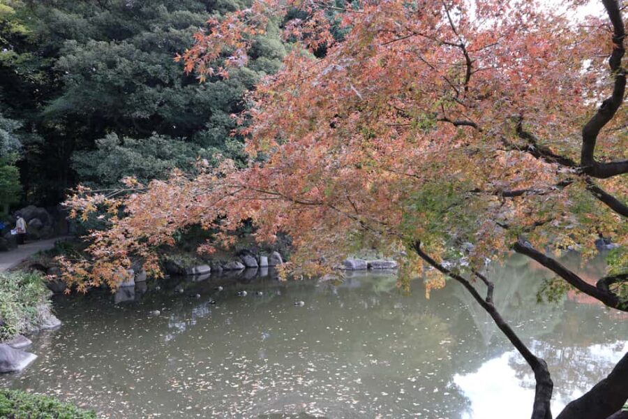 Imperial Palace Tour: Discover Samurai History with a Guide - Who This Tour Fits Best, Based on Your Comfort Level