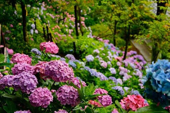 Introducing all the Famous Spots in Kamakura and Enoshima! - Hasedera Temple, aka the Flower Temple: a slow-walk kind of stop