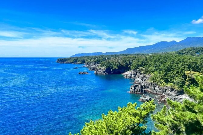 Izu Mount Omuro Day Tour: Atami Beach Line,Ropeway,Jogasaki Coast - Izu Peninsula in One Day: The Big-View Pattern