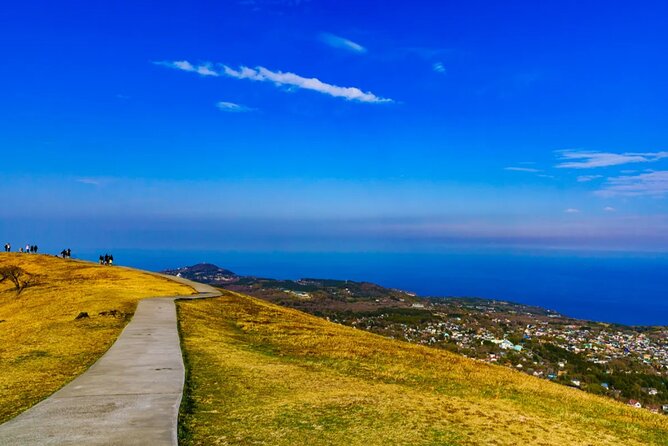 Izu Mount Omuro Day Tour: Atami Beach Line,Ropeway,Jogasaki Coast - Ito Marine Town: The Seaside Roadside Station Finish