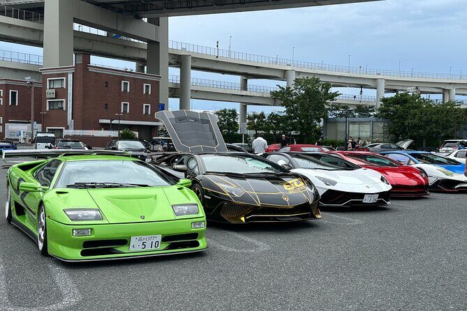 Japanese Car Meet JDM Culture Tour in Daikoku - Who this tour suits best (and who might want a different plan)