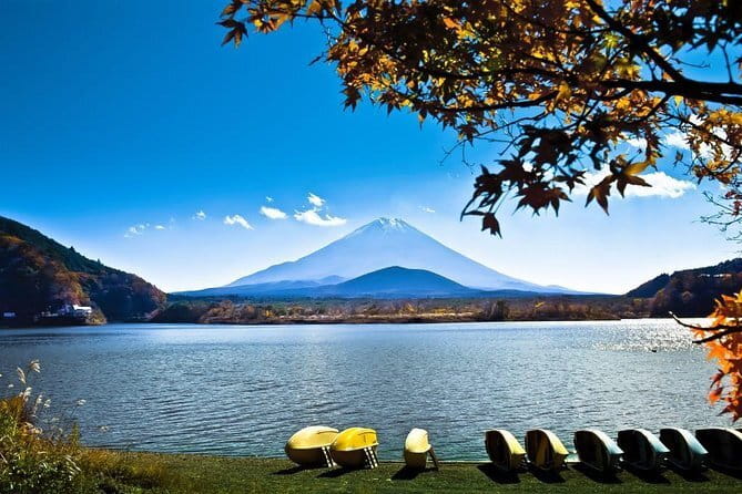 Japan's Best Mount Fuji Tour - Guide and Group Size: Why English Clarity Helps at Every Stop