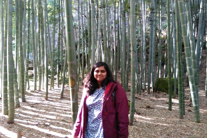 Kamakura 4hr Private Trip with Government-Licensed Guide - Hasedera Temple: Walk Up for the Best Views and Kannon Details