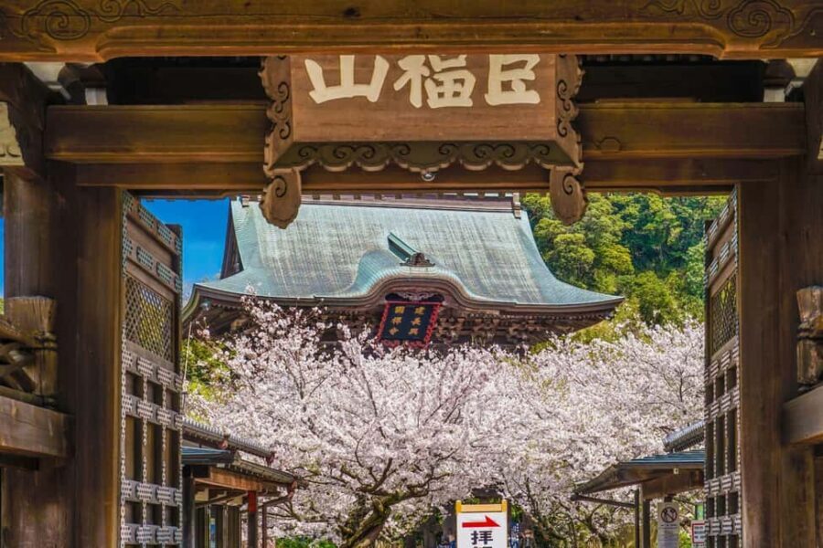 Kamakura: A Journey Through Medieval Japan - Key Moments That Make This Tour Worth Your Time