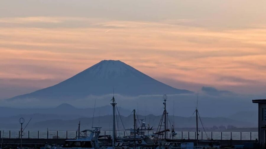 Kamakura: A Journey Through Medieval Japan - Getting Between Sites: Buses, Coaches, and One Train Ride