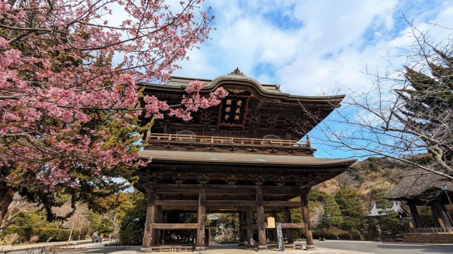 Kamakura: A Journey Through Medieval Japan - Kōtoku-in and the Great Buddha: Why This One Matters