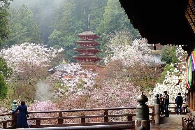 Kamakura and Yokohama Private Tour with Bilingual Chauffeur - Private route: why this day flow makes sense